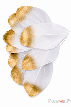 Petali in piume - 6-8 x 3-4 cm - bianco-dorato